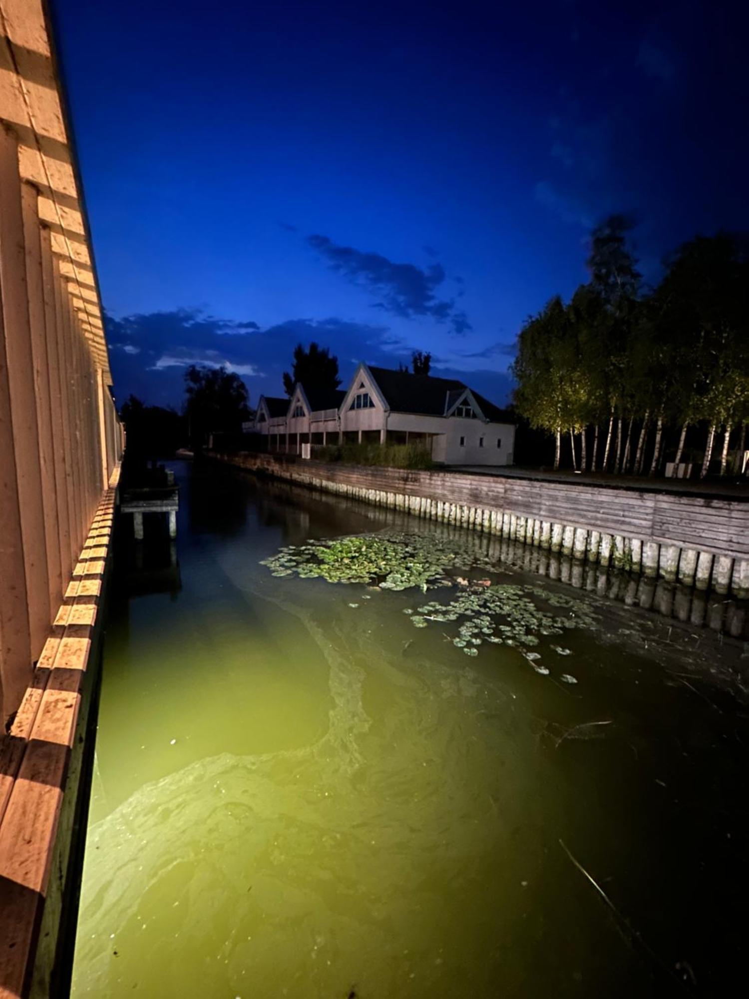 Haus Am See Neusiedl am See Exteriör bild