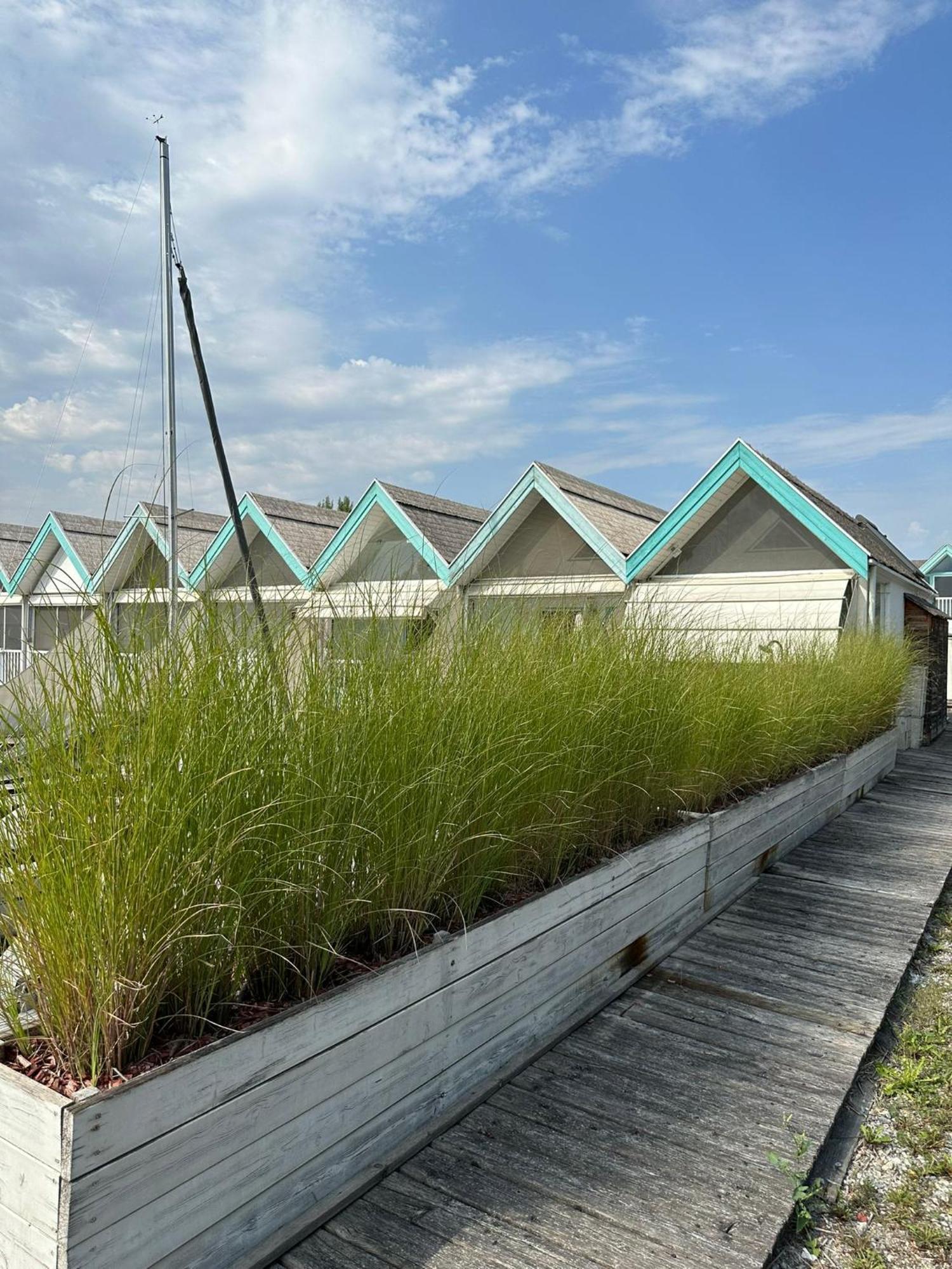 Haus Am See Neusiedl am See Exteriör bild