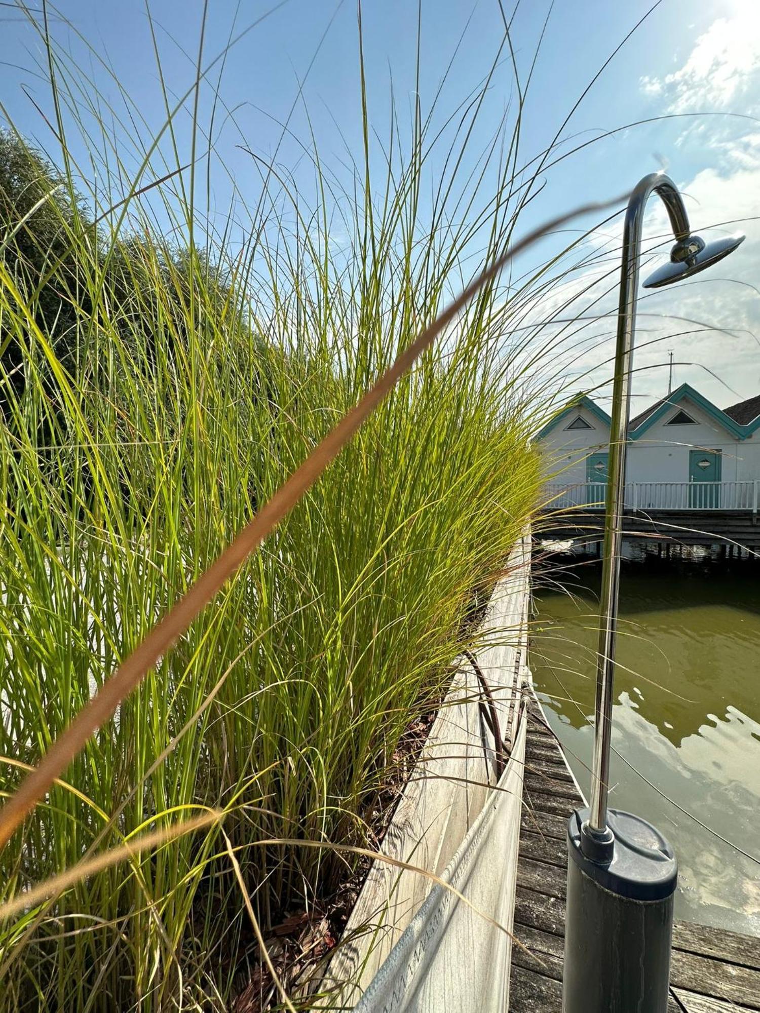 Haus Am See Neusiedl am See Exteriör bild